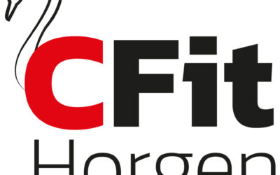 Logogestaltung CFit